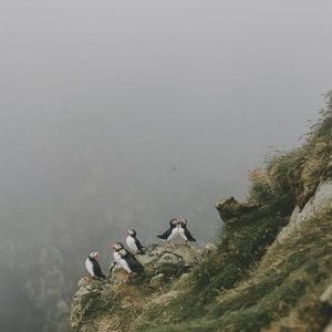 Meet your Posher, Robby